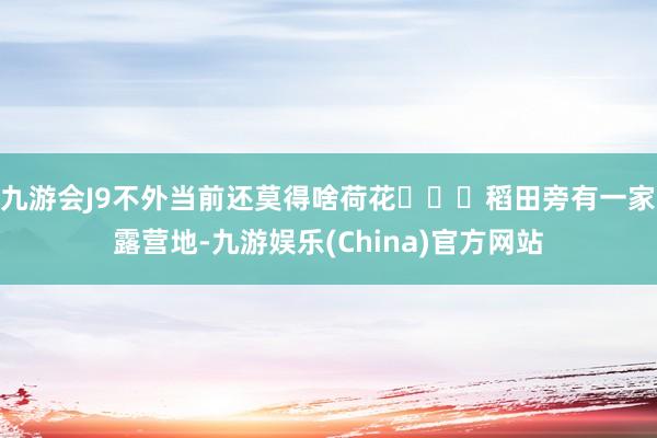 九游会J9不外当前还莫得啥荷花​✔️稻田旁有一家露营地-九游娱乐(China)官方网站