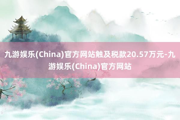 九游娱乐(China)官方网站触及税款20.57万元-九游娱