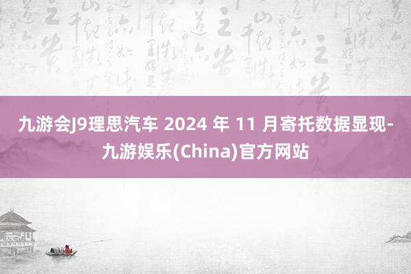 九游会J9理思汽车 2024 年 11 月寄托数据显现-九游