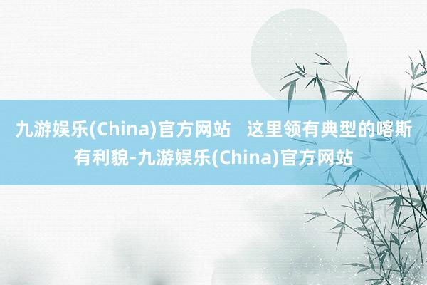 九游娱乐(China)官方网站   这里领有典型的喀斯有利貌-九游娱乐(China)官方网站