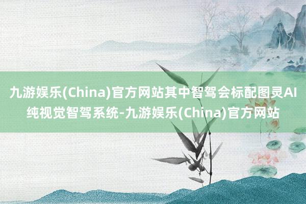 九游娱乐(China)官方网站其中智驾会标配图灵AI纯视觉智驾系统-九游娱乐(China)官方网站